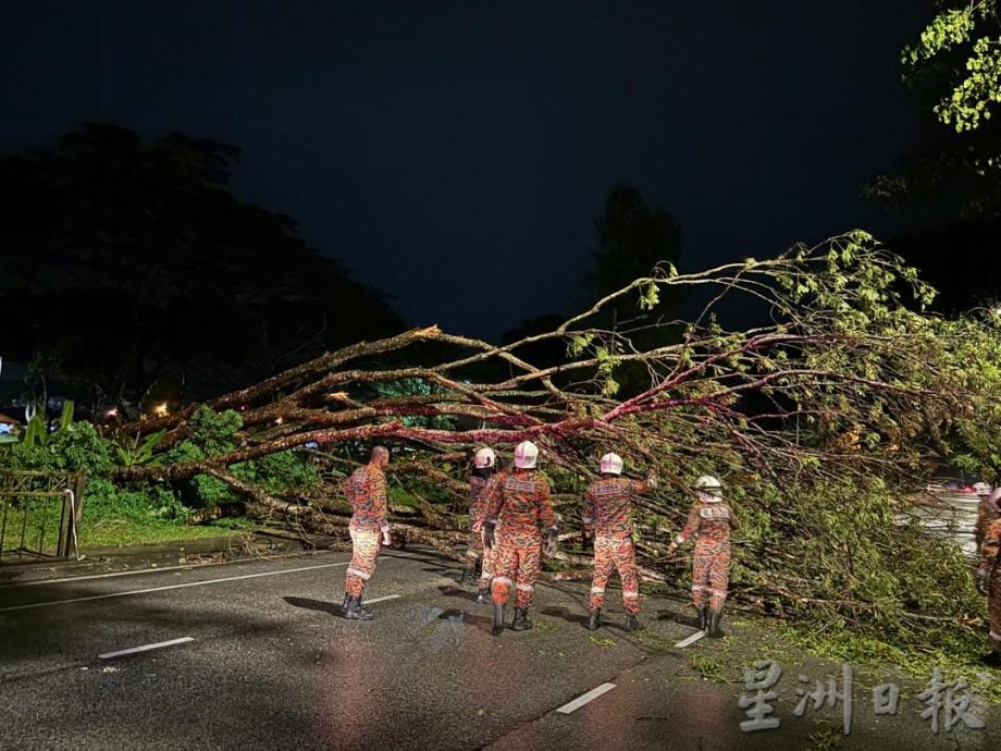 全国：晚间暴雨导致树倒事故 士乃机场路道路交通中断