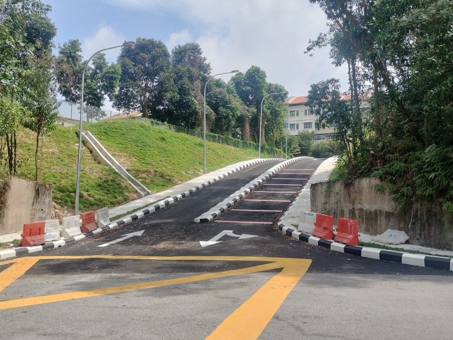 大都會-大同花園開闢新路段