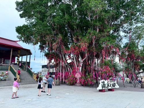 大都會/公假碰上學校假期，雪濱海旅遊景點掀旅遊熱潮！（第二批圖）