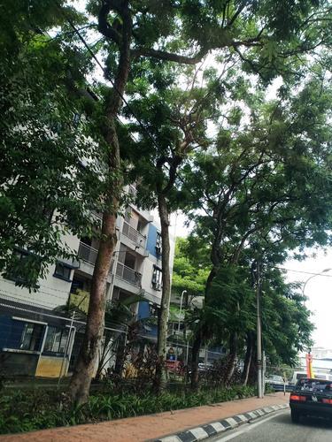 大都会/垃圾造成中路淹水祸首，市厅：雨后急清理