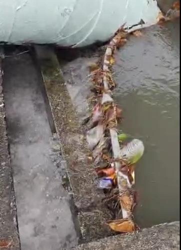 大都会/垃圾造成中路淹水祸首，市厅：雨后急清理