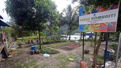 綠意盎然 | 三蘭姐妹揮動綠手指   荒廢社區菜園 回春