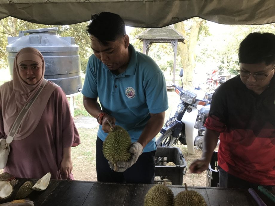 大马农业研究所江沙分院 推展榴梿种植先驱计划