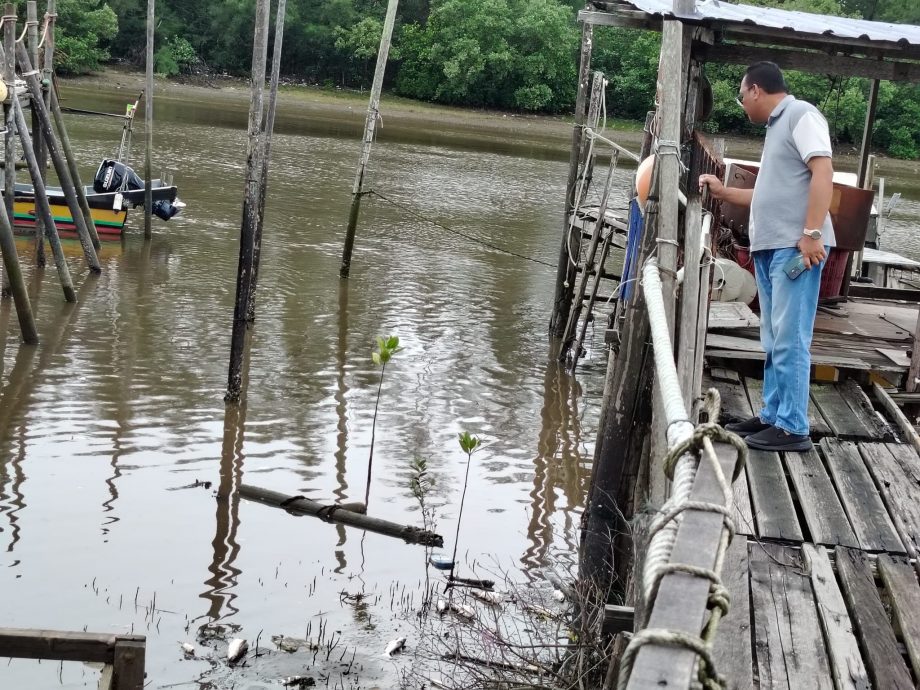 安丹蘇拉：巴洛河口發現大群死魚，居民對環境汙染問題感到擔憂。