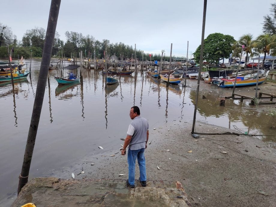 安丹蘇拉：巴洛河口發現大群死魚，居民對環境汙染問題感到擔憂。