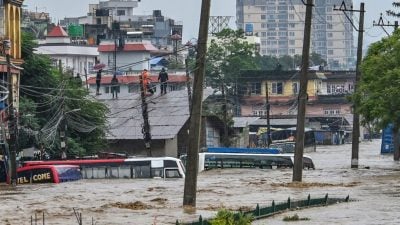 尼泊尔暴雨成灾 至少59死44失踪