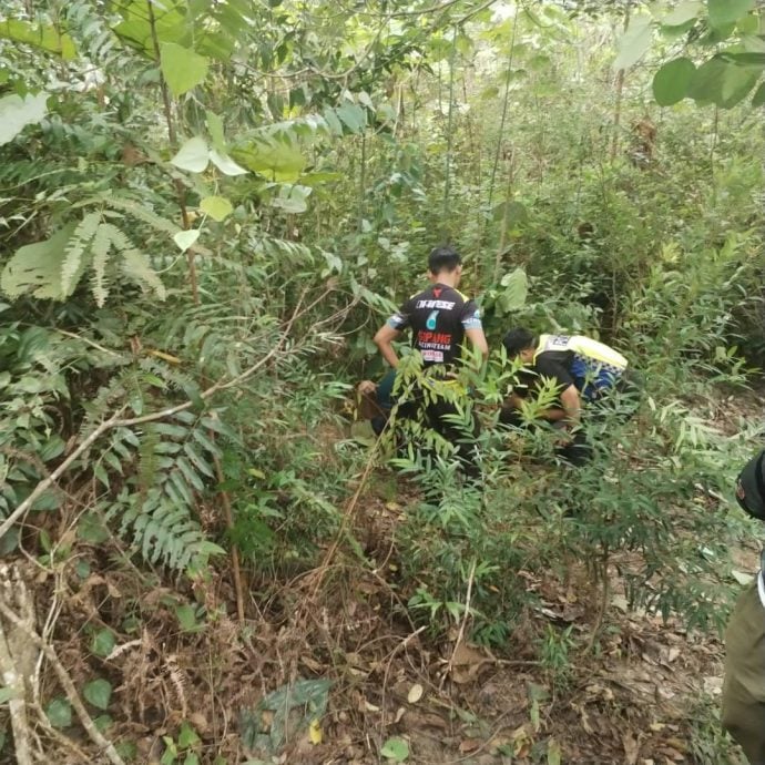 *已签发* 全国：野象踩死人事件 林添顺：当局展开捕猎行动 保障居民安全