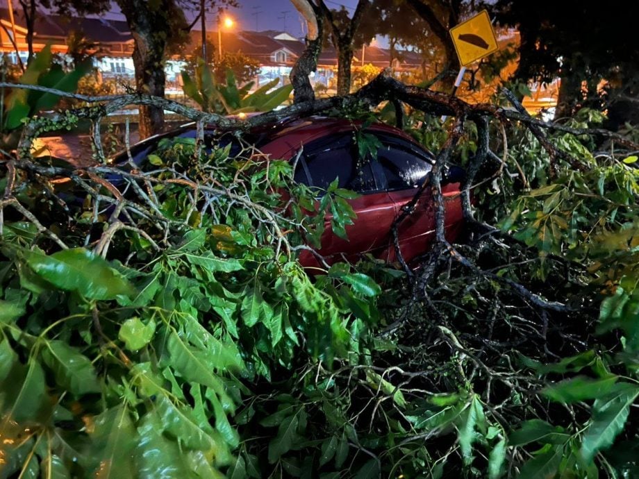 *已簽發* 柔：封面:強風暴雨來襲 多個地區遭受破壞