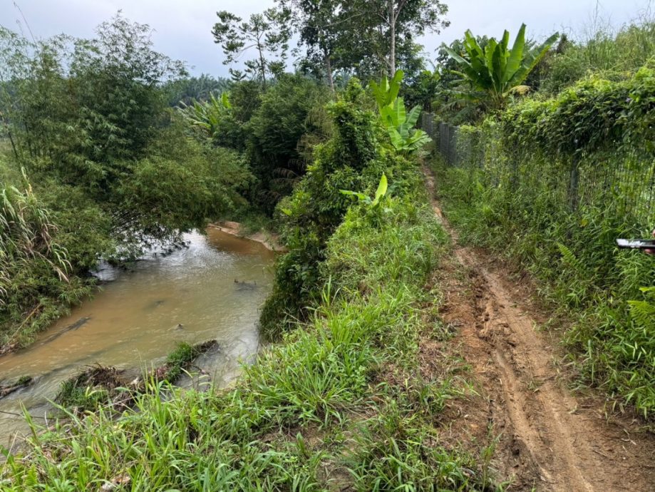 *已簽發* 柔：河道侵蝕無法進出園地載果 園主獲准自費在火車軌道下開闢道路