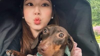 帶2愛犬搭機10小時飛米蘭 趙露思被轟折磨寵物