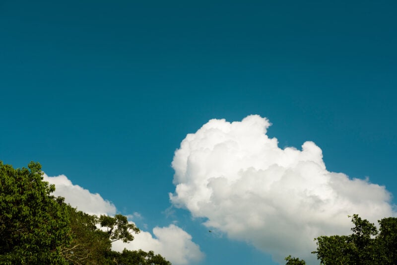 Blue Sky With Some Cloud And Tree Tips