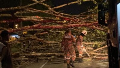 独家 | 暴雨导致树倒事故 机场路交通中断