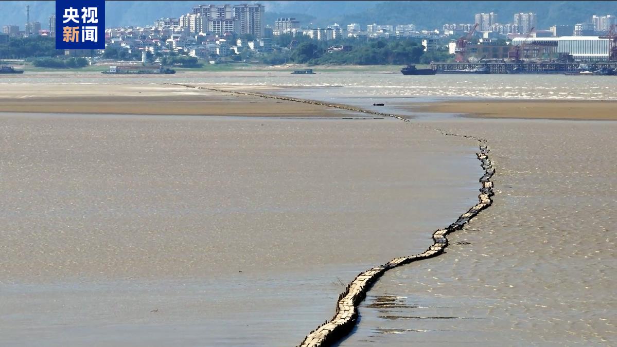 拼盤∕江西鄱陽湖進入枯水期 明代“千眼橋”露真容 