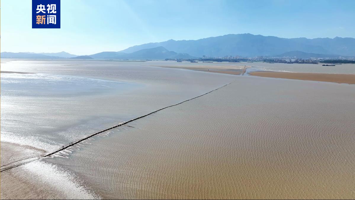 拼盘∕江西鄱阳湖进入枯水期 明代“千眼桥”露真容 