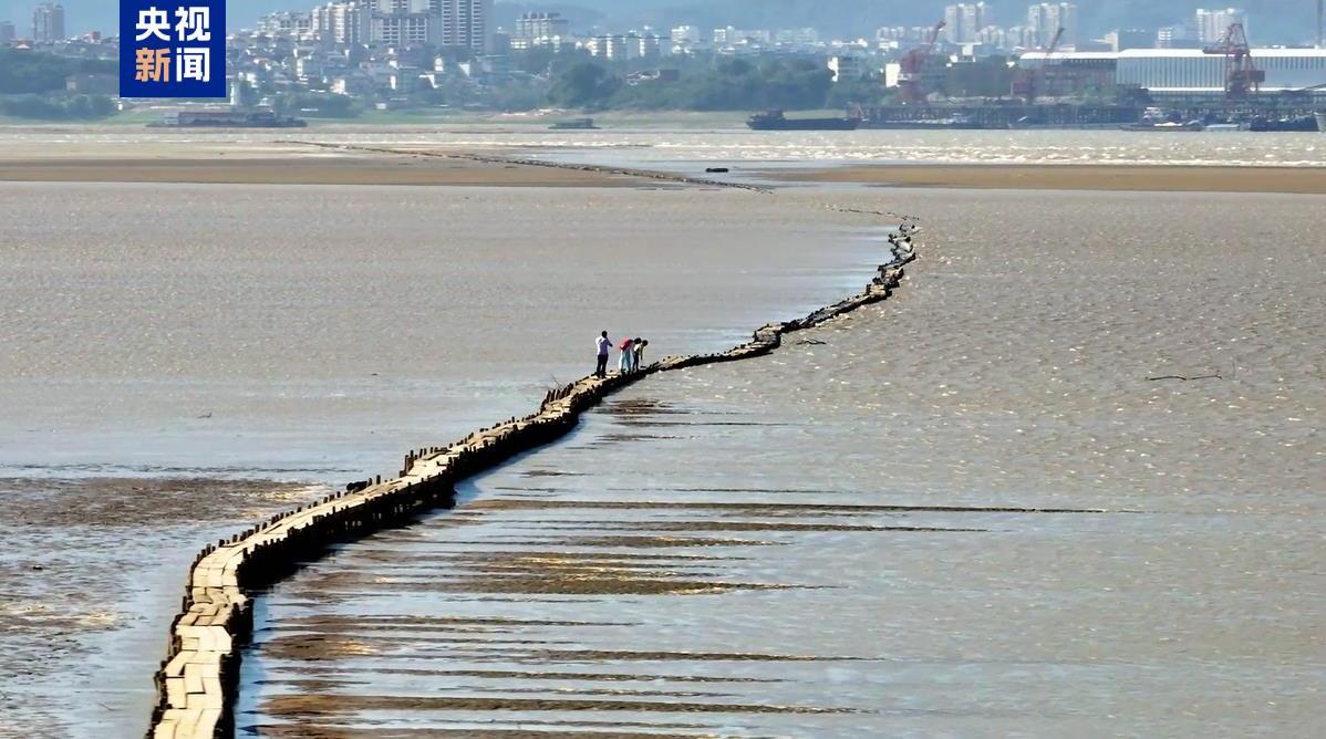 拼盤∕江西鄱陽湖進入枯水期 明代“千眼橋”露真容 