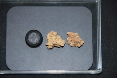 新疆发现世界最早奶酪 实物距今3600年