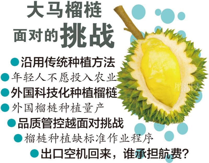 Durian01