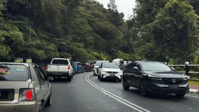 困車龍人有三急  金馬侖20公廁提供“方便”