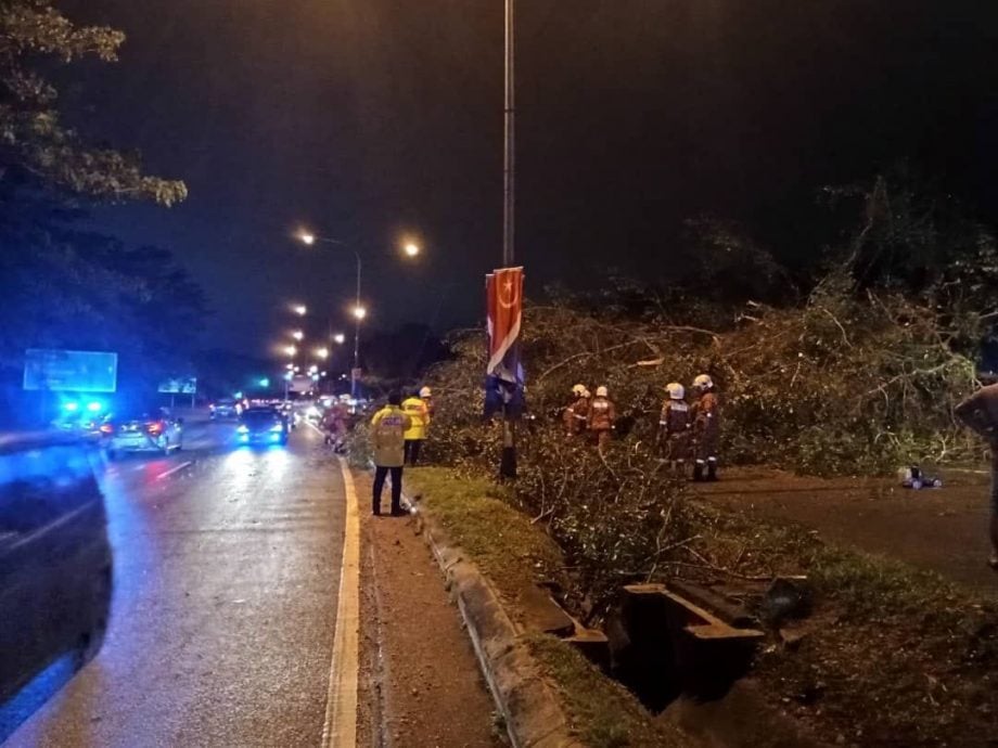 版二頭條 *已簽發* 柔：新聞：暴風雨致樹倒吹飛屋頂 哥打警方派員到場援助