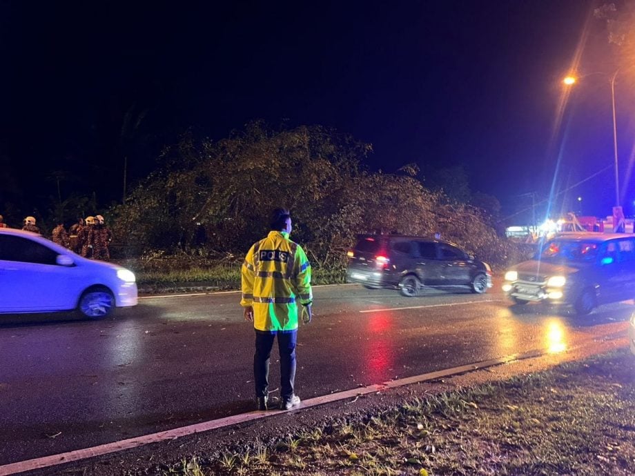 版二頭條 *已簽發* 柔：新聞：暴風雨致樹倒吹飛屋頂 哥打警方派員到場援助