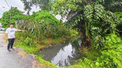 私人荒地雜草叢生   河邊路地主受促清理