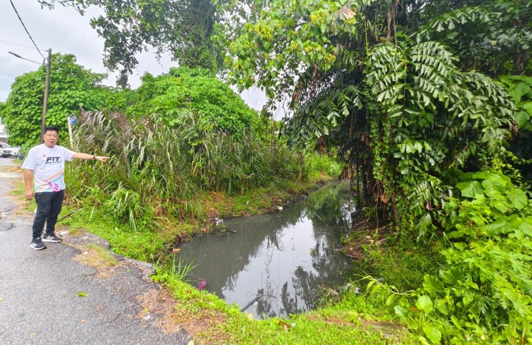 私人荒地雜草叢生 河邊路地主受促清理