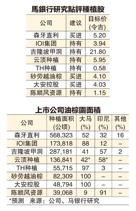 (财经封面) 印尼减棕油出口税  马种植公司受惠