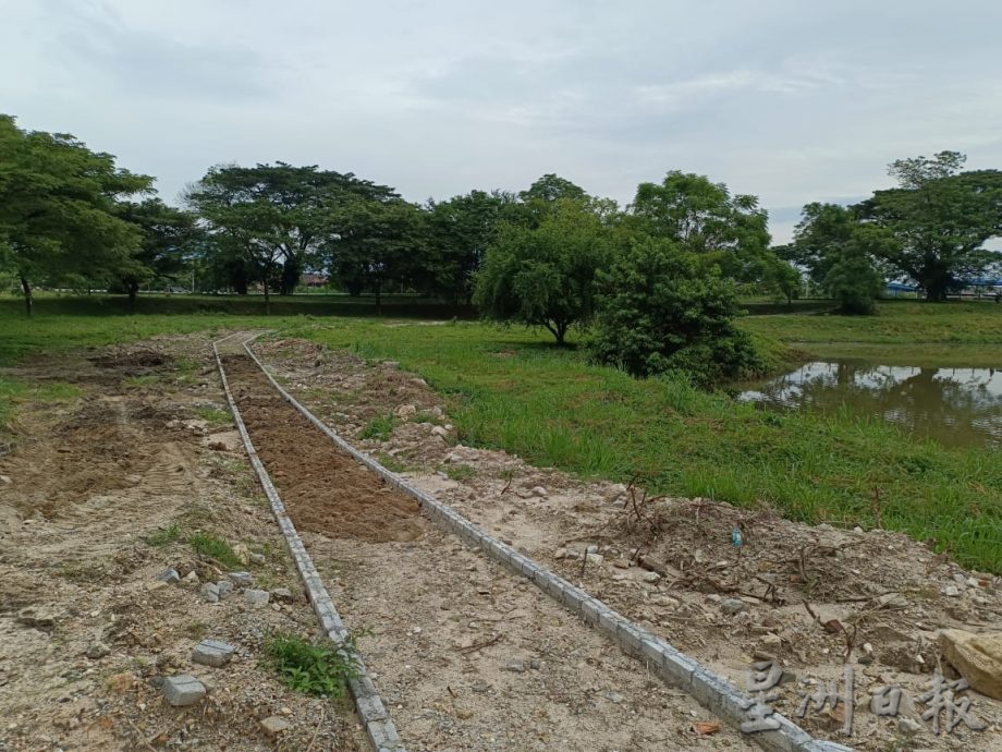 跃身栖息地 傍晚百鸟归巢 红毛丹集水池黑白鹭云集