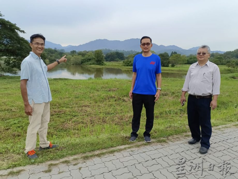 跃身栖息地 傍晚百鸟归巢 红毛丹集水池黑白鹭云集