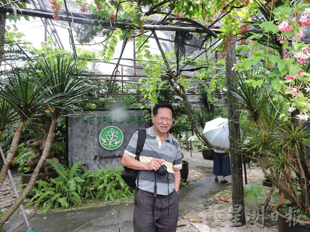 躍身棲息地 傍晚百鳥歸巢 紅毛丹集水池黑白鷺雲集