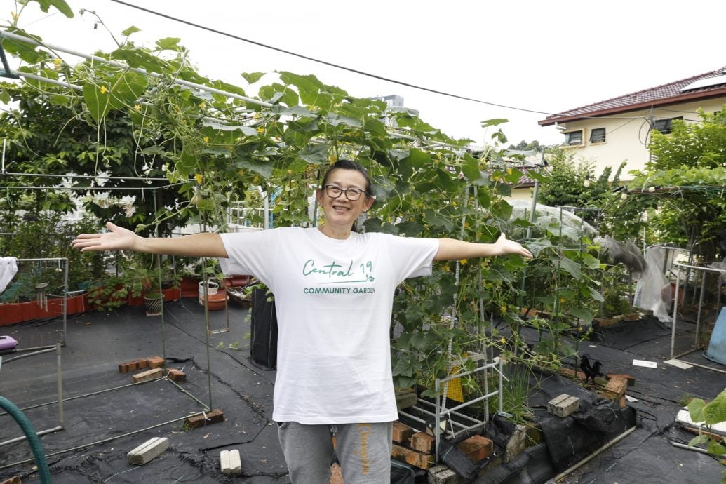 （11日見報）大都會-綠意盎然/靈市19區菜園