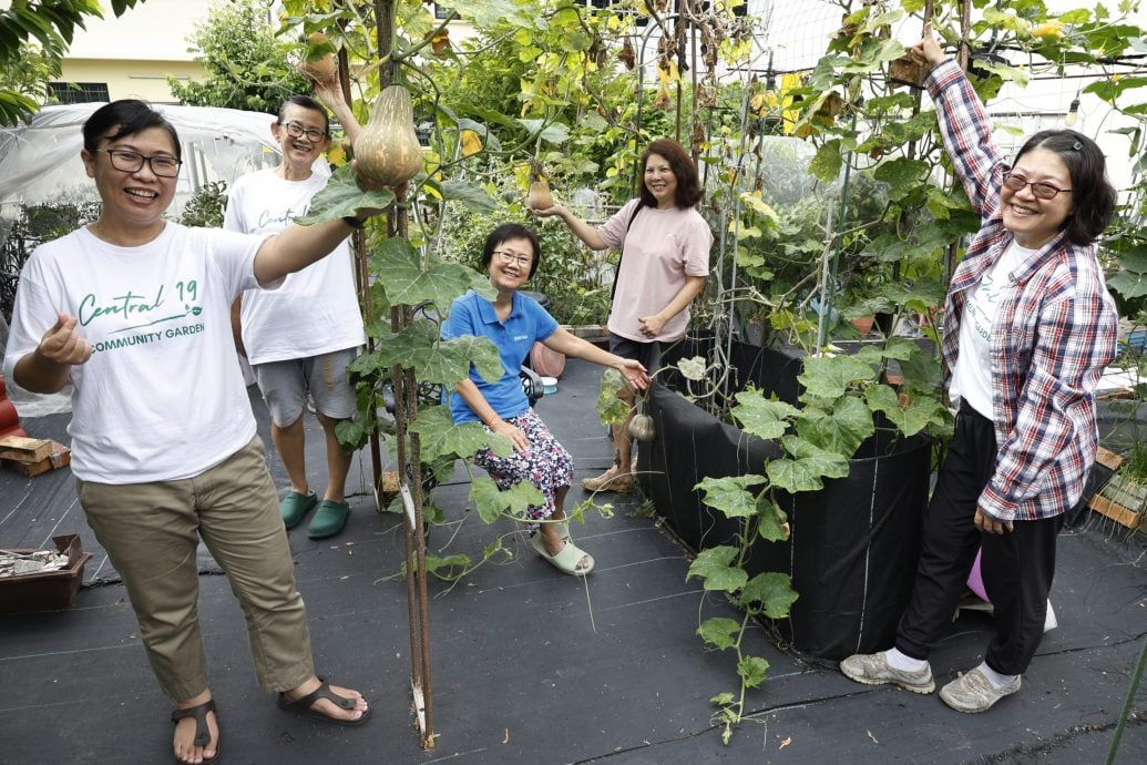 （11日見報）大都會-綠意盎然/靈市19區菜園