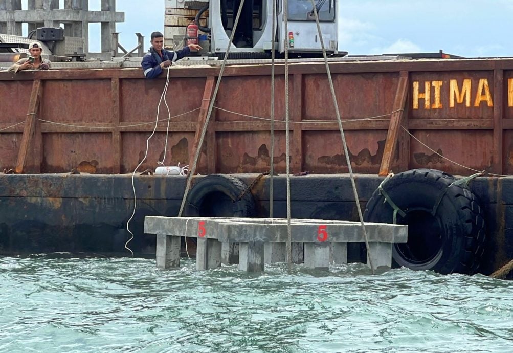 （古城封面主文）哆哆島投放12人造石礁·保育珊瑚魚類