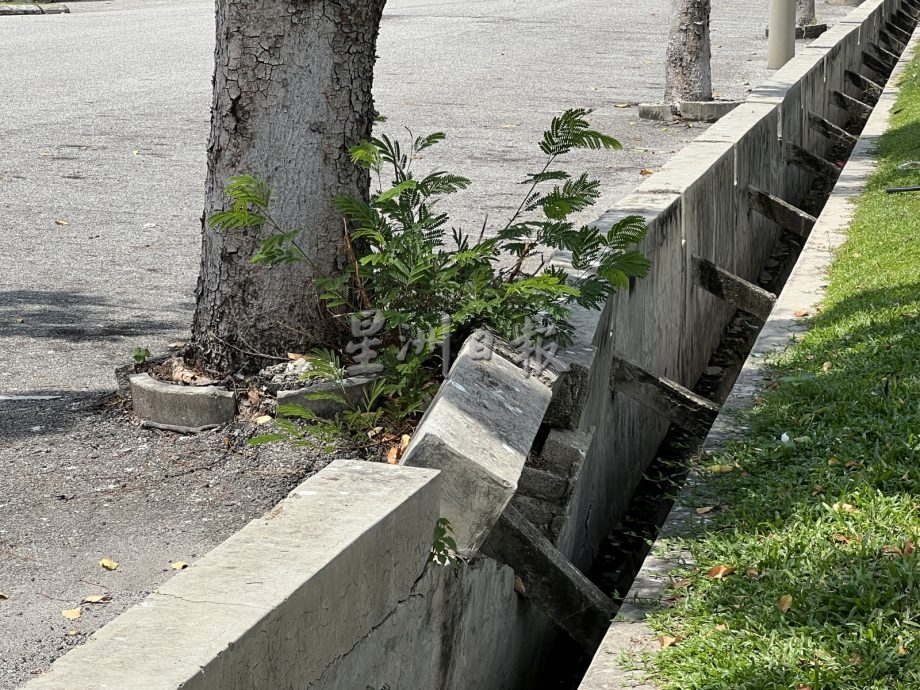 （古城封面主文）哥打拉沙馬那第三期花園商業區溝渠崩壞 烏鴉糞便處處