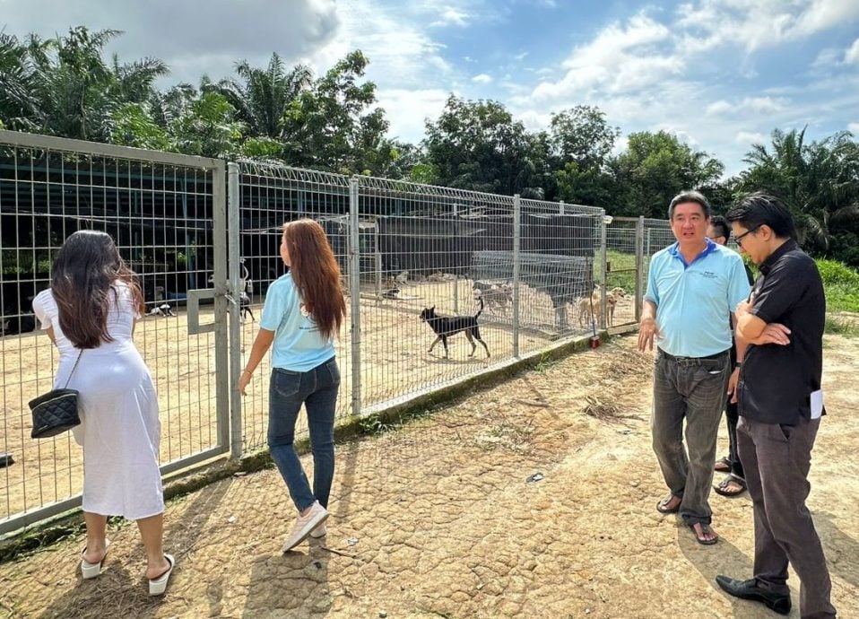 （古城封面主文）甲動物福利協會冀市議會延長搬遷期限 批臨時執照原地養狗