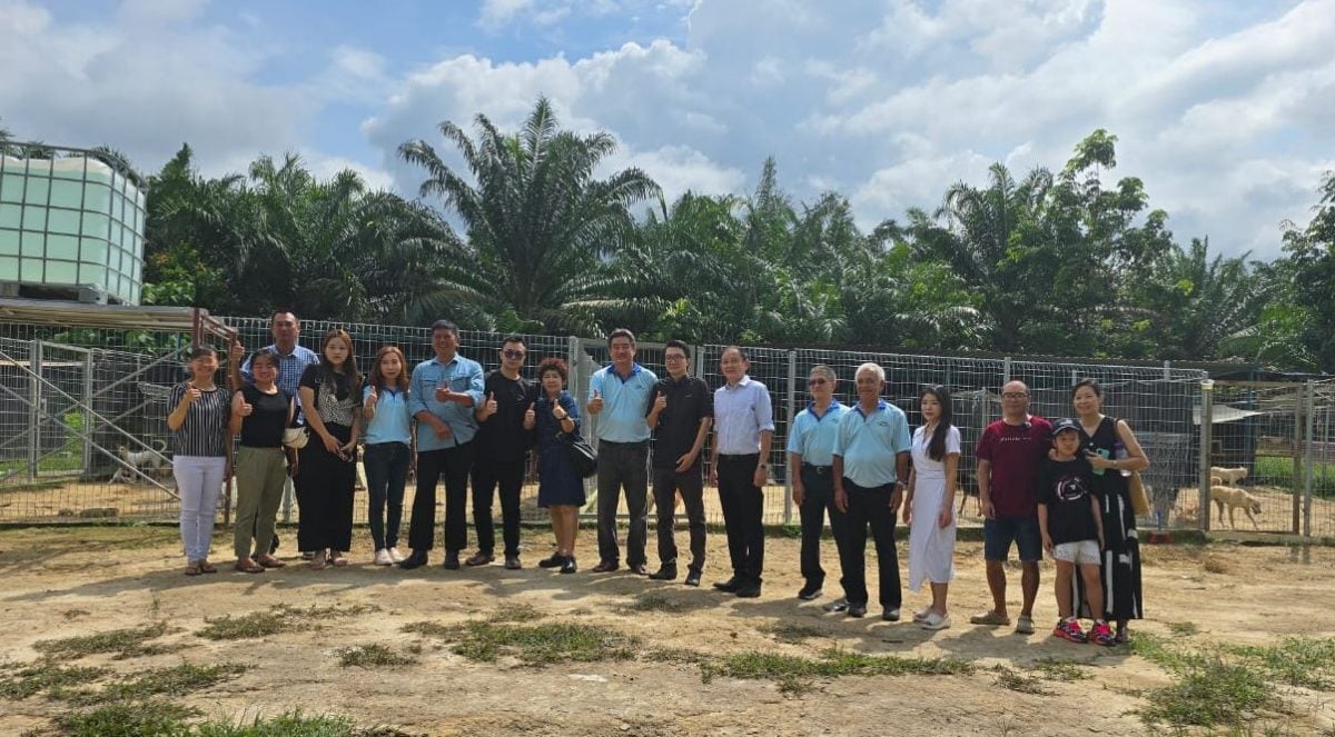 （古城封面主文）甲動物福利協會冀市議會延長搬遷期限 批臨時執照原地養狗