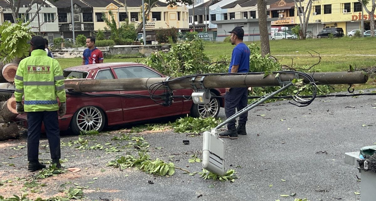 （古城封面副文）强风来袭·大树扯断电灯柱压车