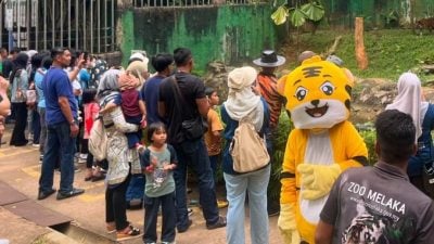 兌換州政府“禮物”   3043人免費遊甲動物園