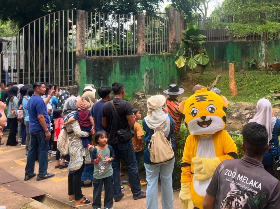 （古城封面副文）逾3000馬六甲民眾兌換免費門票到馬六甲動物園參觀