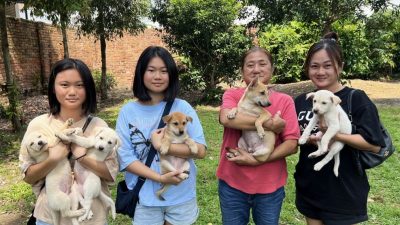 媽媽女兒孫女餵養救援浪浪   一家三代皆愛狗