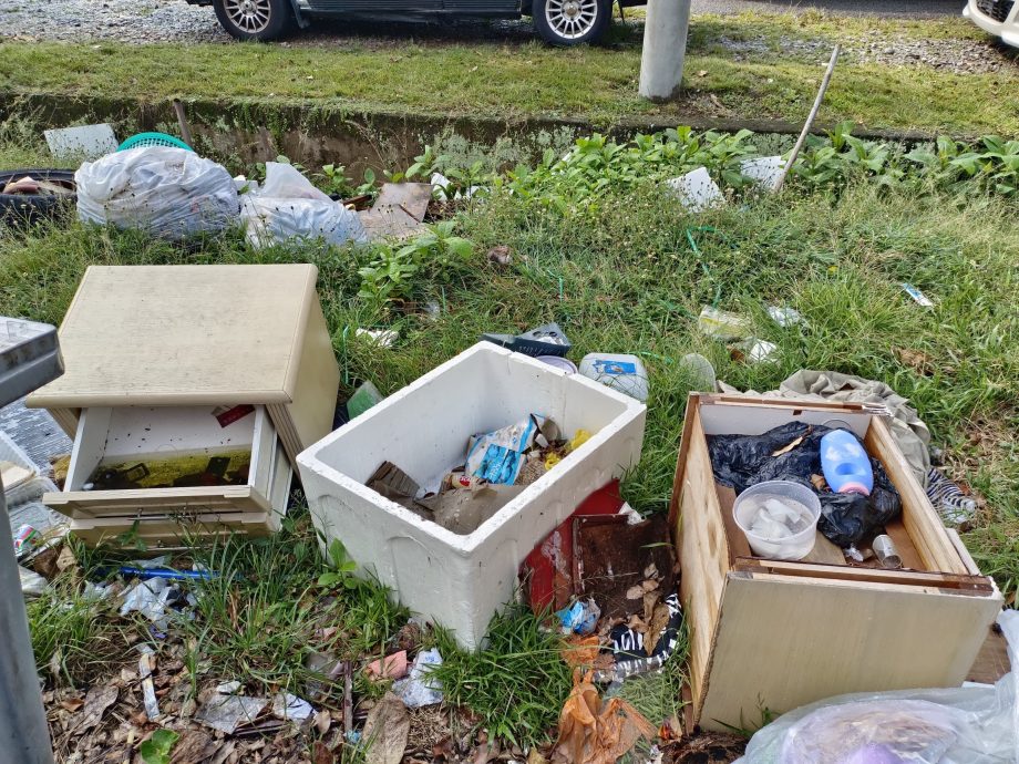 （古城第二版主文）甲嶺花園垃圾問題多 鄧永森促妥善處理垃圾