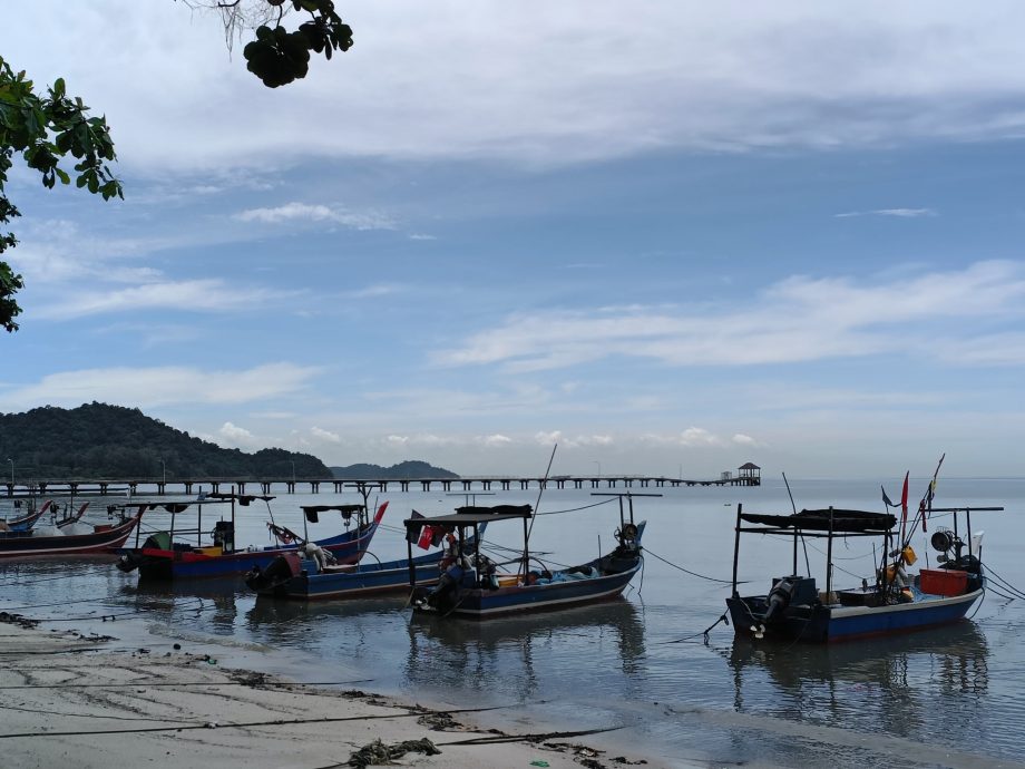 （大北馬）公巴漁民：填海工程沒影響漁獲　蝦量甚至多到魚商買不了