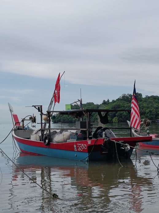 （大北馬）公巴漁民：填海工程沒影響漁獲　蝦量甚至多到魚商買不了