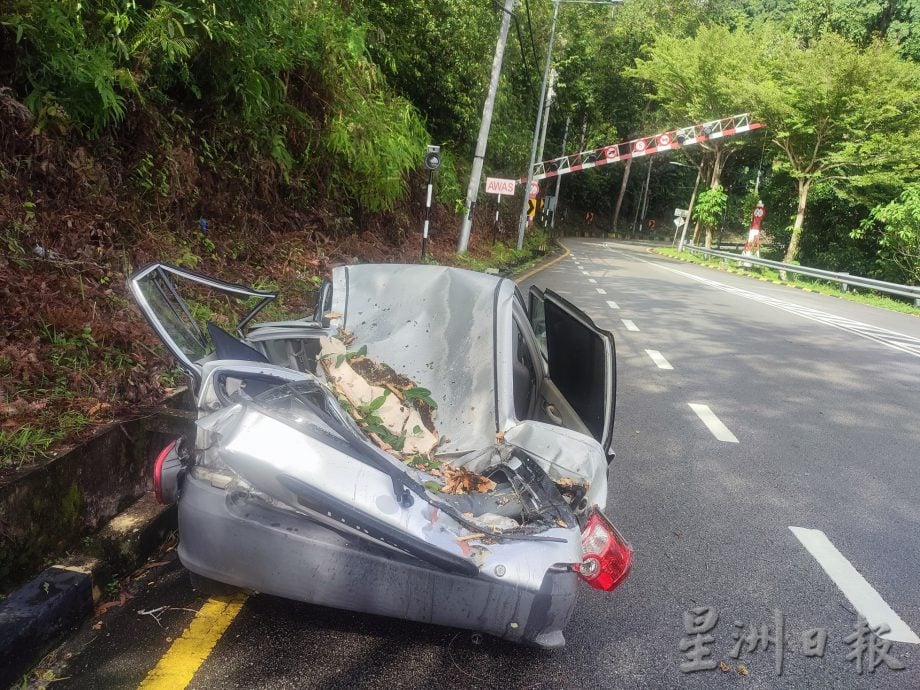 （大北马）大树倾倒，丹绒武雅眼镜池山路封山，24小时交通中断