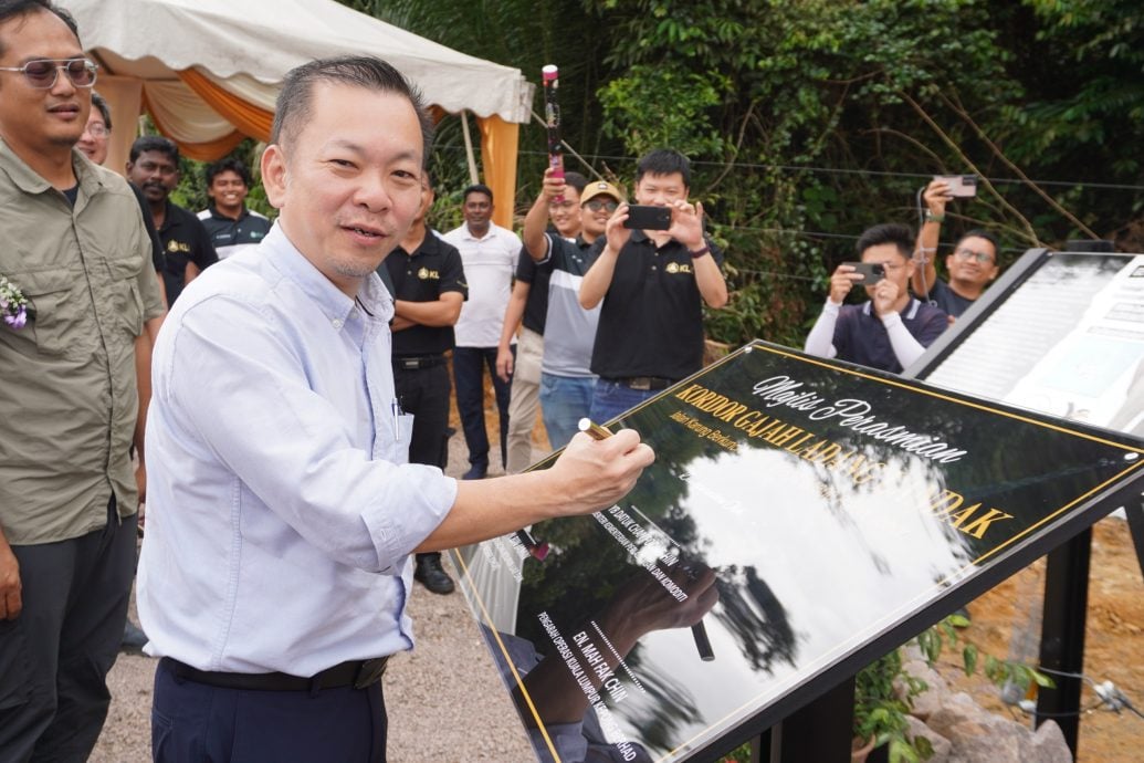 巴罗设野象走廊供觅食   陈泓缣：人象共存保障永续环境