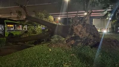 中秋夜突颳起狂風暴雨 什麼是蘇門答臘風颮？