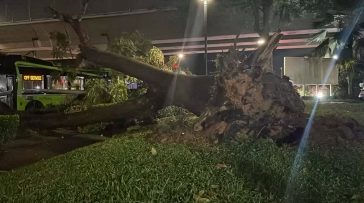  （已签发）柔：狮城二三事：中秋夜突刮起狂风暴雨 什么是苏门答腊风飑？