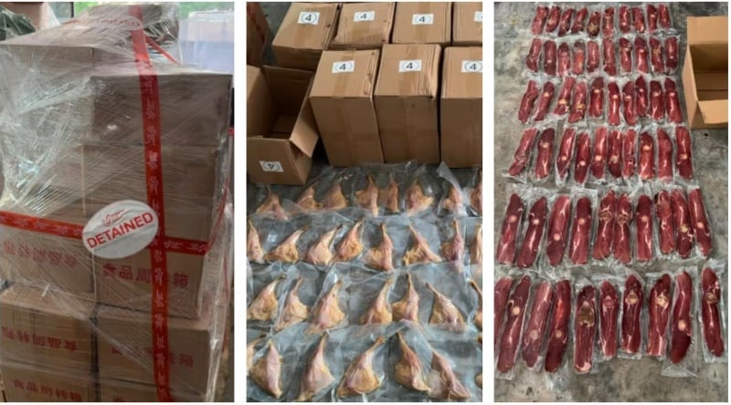 （已簽發）柔：獅城二三事：食品公司非法進口肉類食品 罰款4000新元