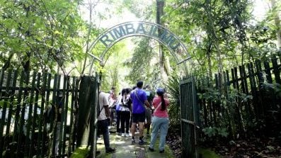 馬大植物園 一座隱秘的知識叢林