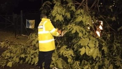 槟岛凌晨1时起下狂风暴雨 18地点发生树倒事件